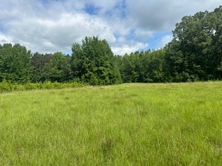 858 Hwy 331