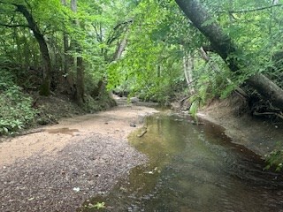 858 Hwy 331