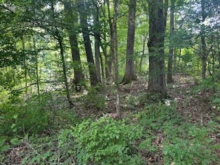 858 Hwy 331