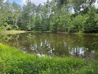 858 Hwy 331