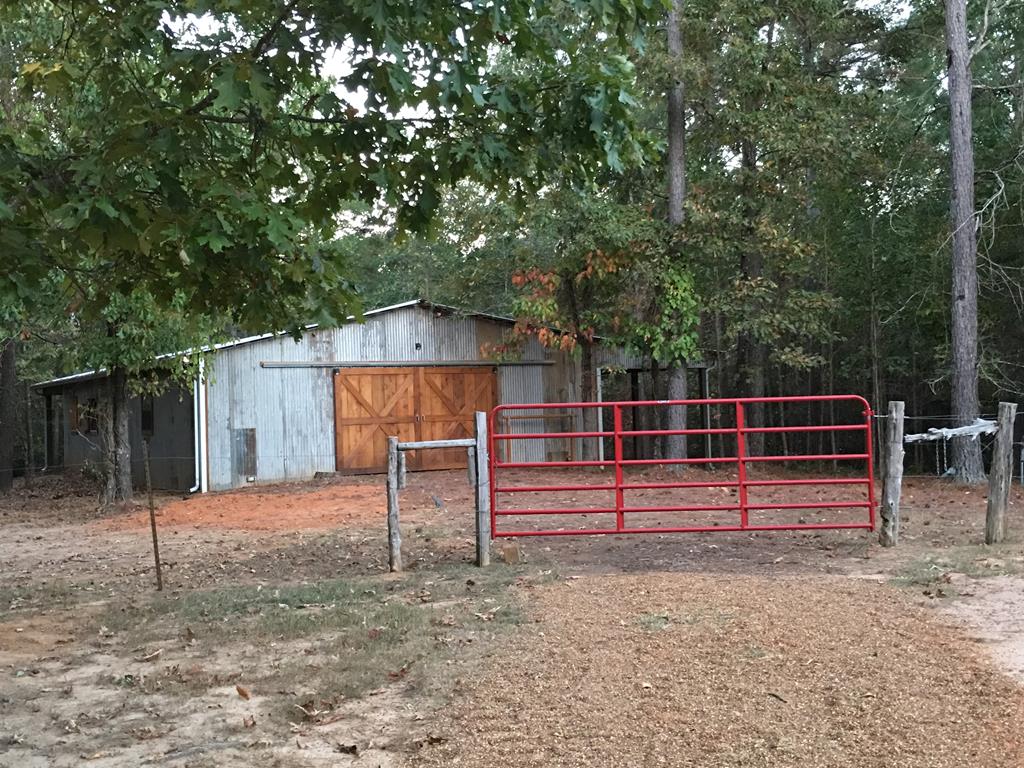 81 County Road 231