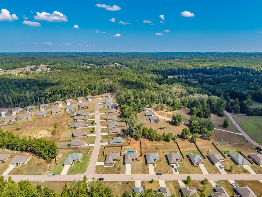 1014 Pebble Creek Drive
