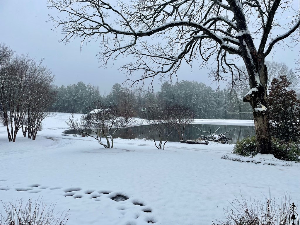 198 County Road 317
