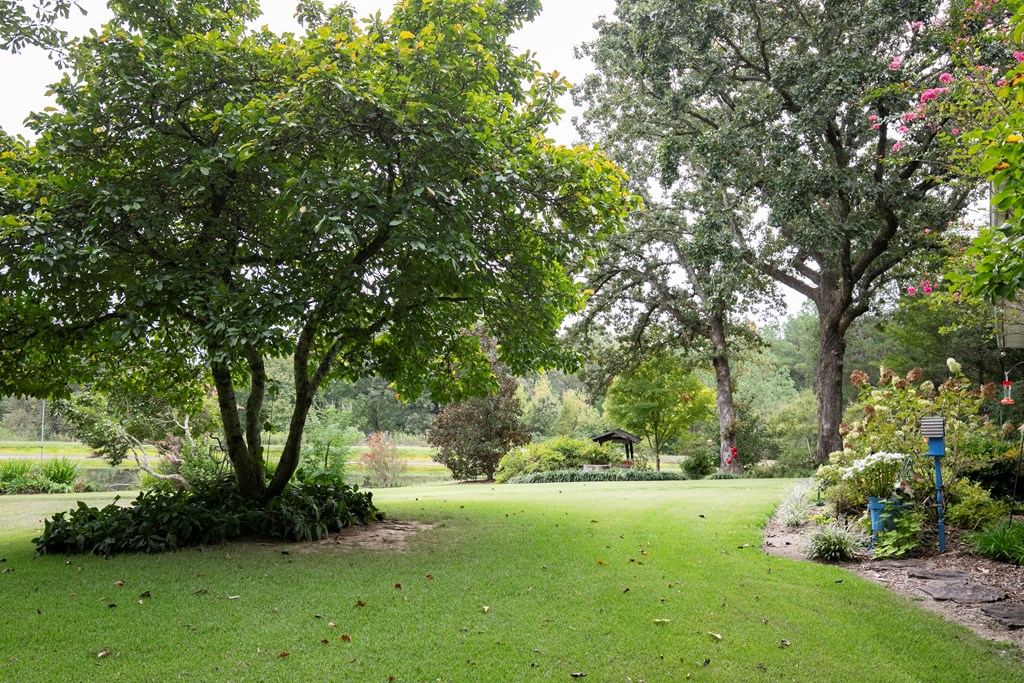 198 County Road 317
