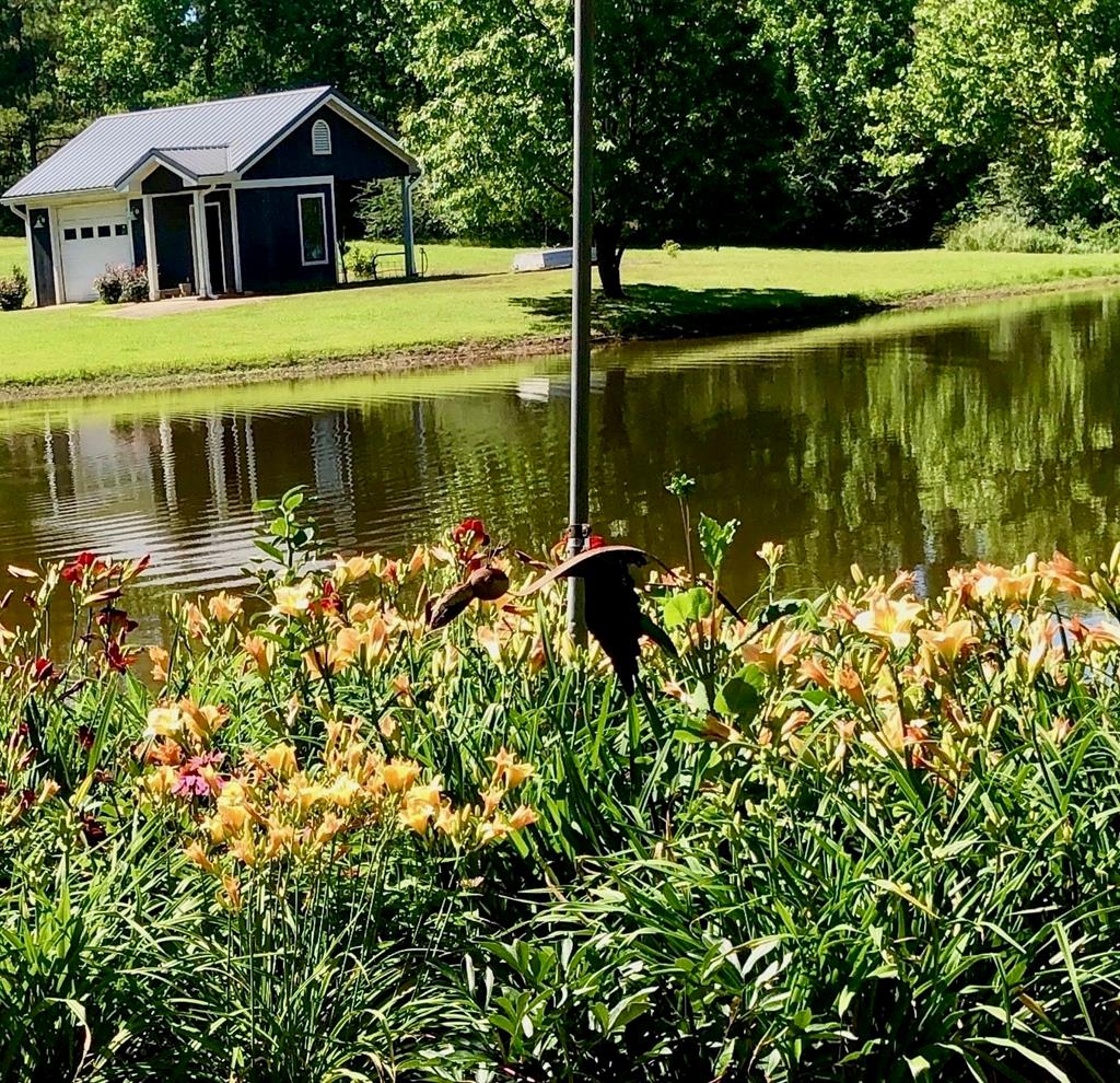 198 County Road 317
