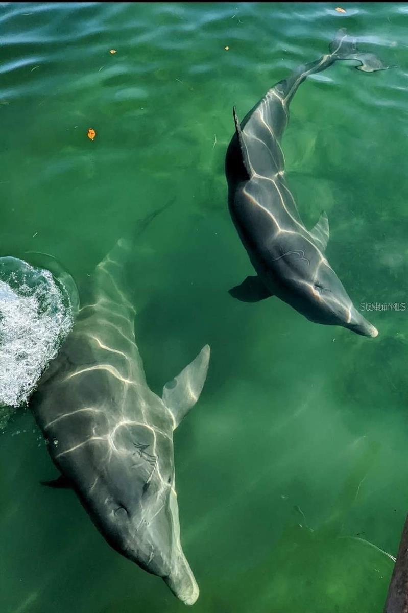 314 LAKE PARSONS GRN #102