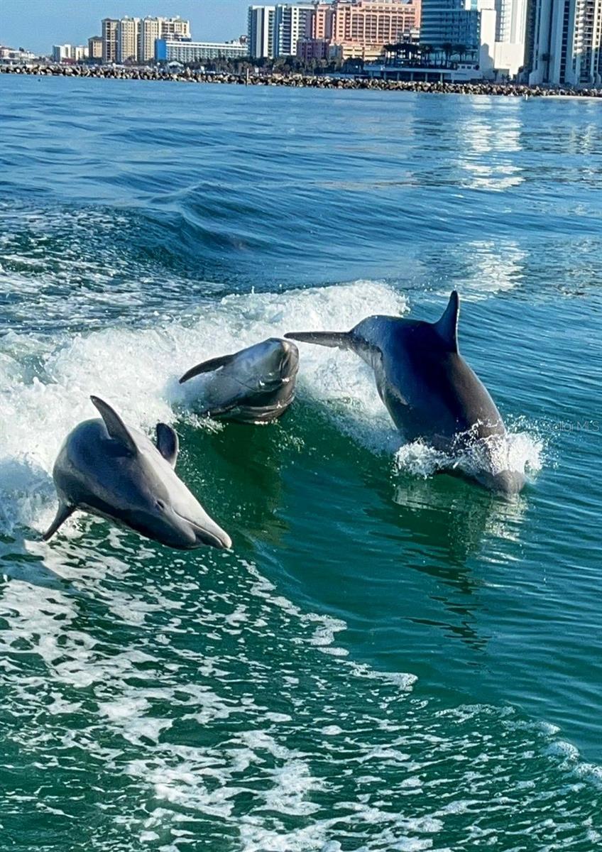 314 LAKE PARSONS GRN #102