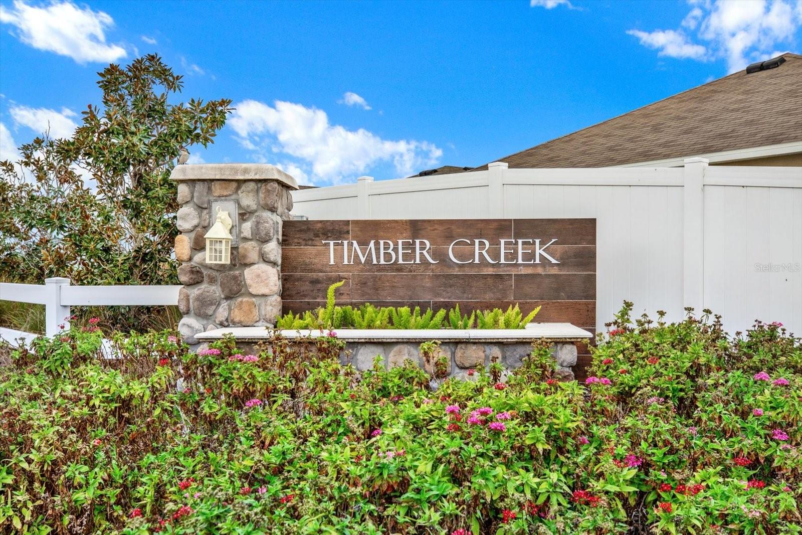 10207 SUMMER KISS AVE