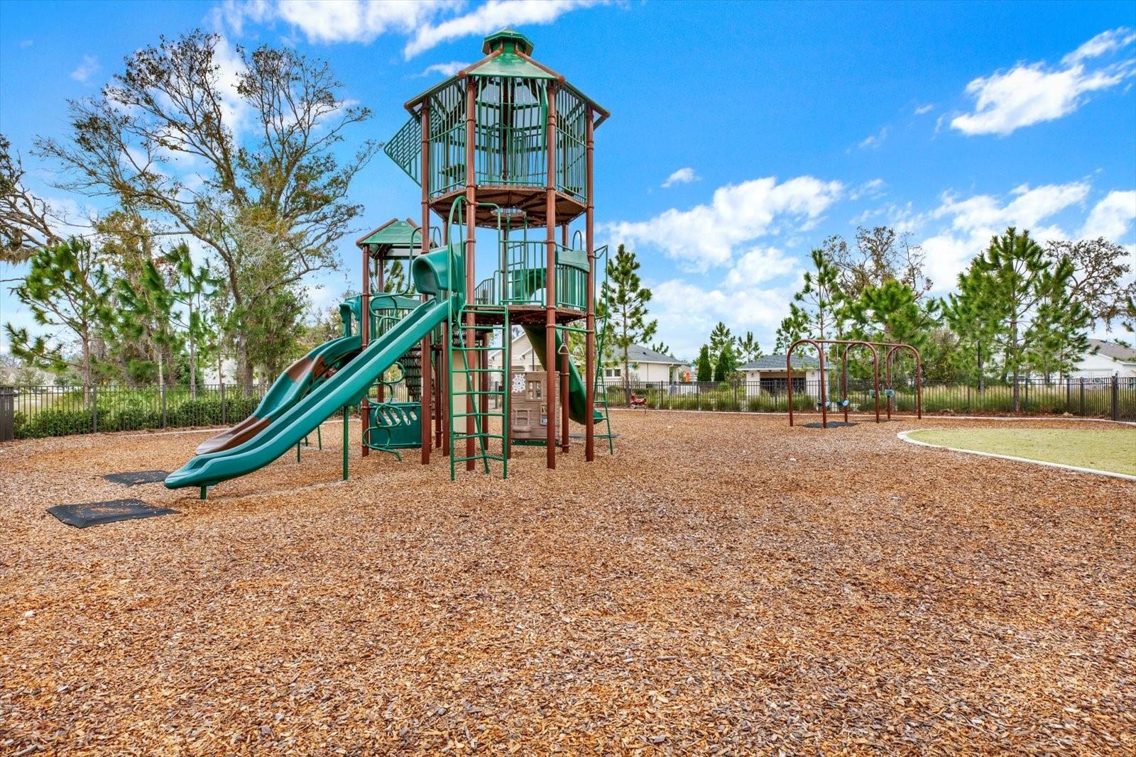 10207 SUMMER KISS AVE