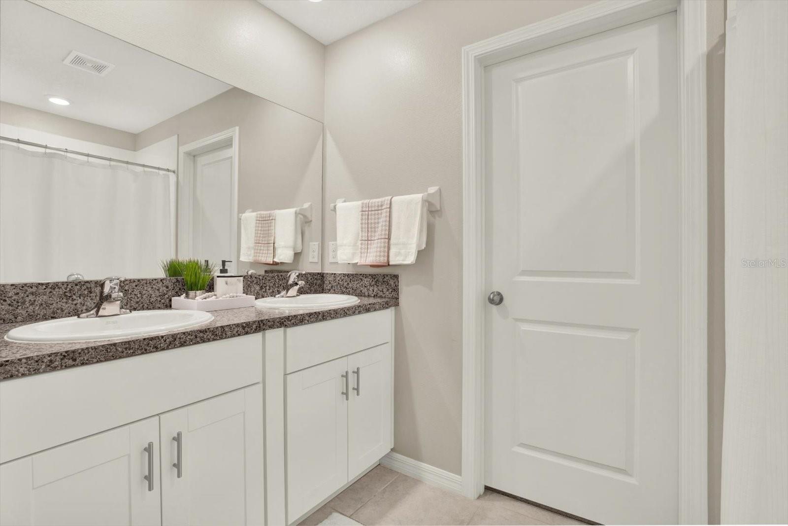 10207 SUMMER KISS AVE