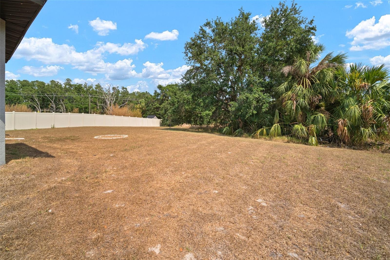 12256 CREEK PRESERVE DR