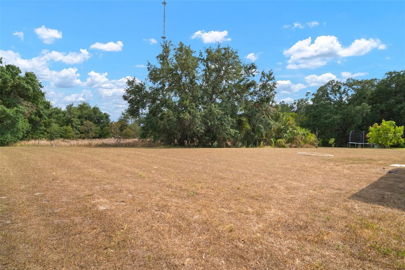 12256 CREEK PRESERVE DR