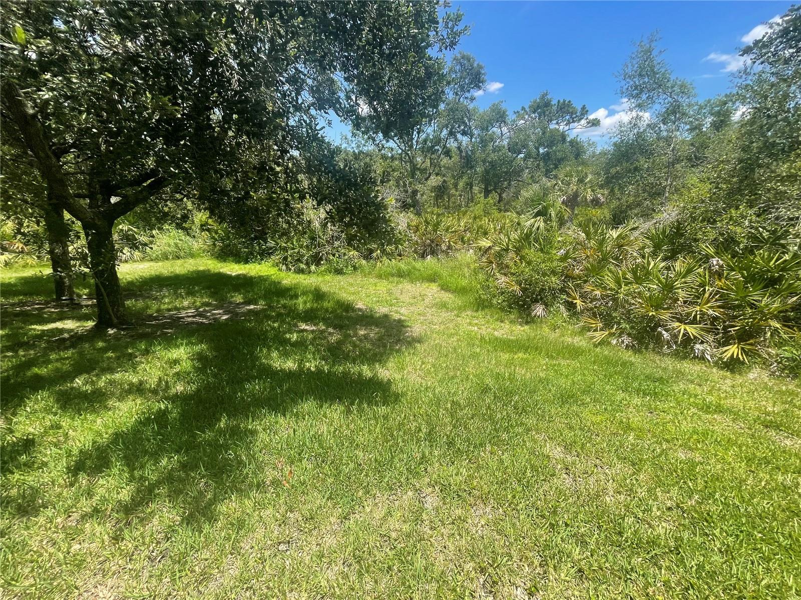 8944 WHITE SAGE LOOP #3204