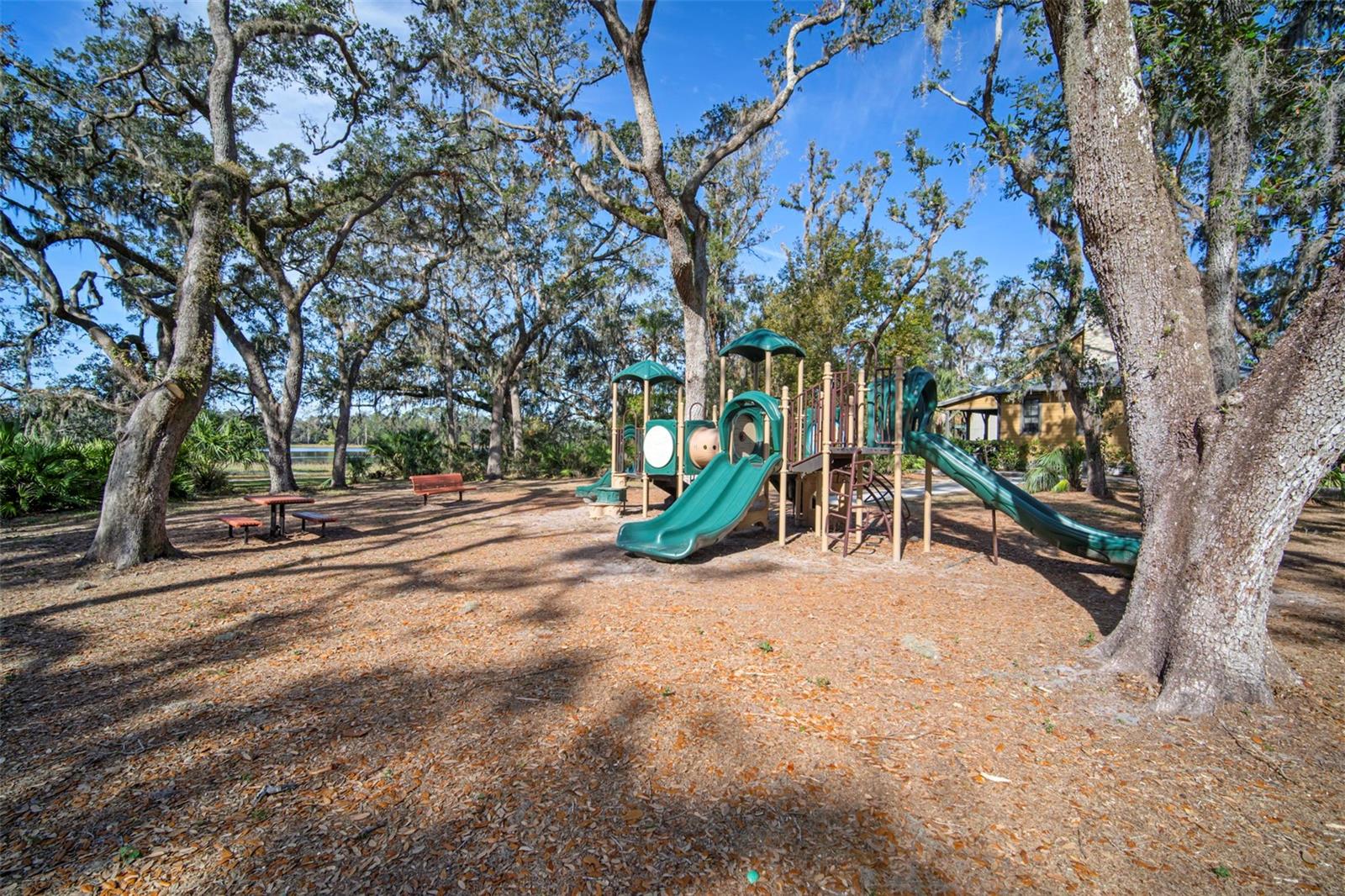 5807 CIRCA FISHHAWK BLVD