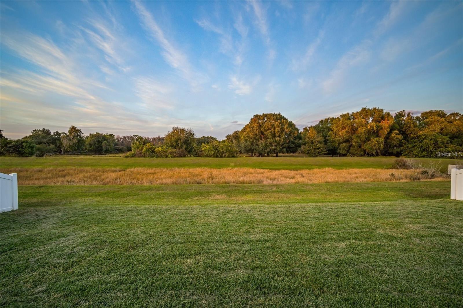 10633 STANDING STONE DR