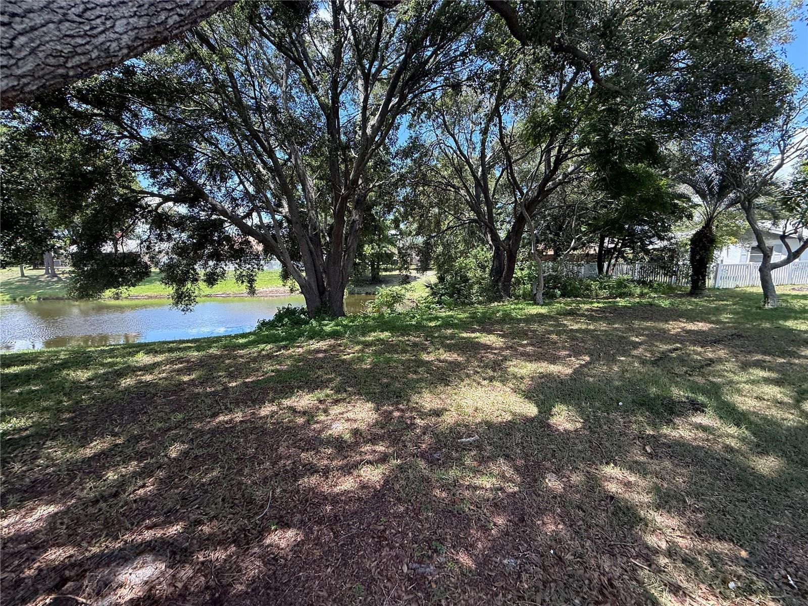 12803 SLIPPERY ELM CT