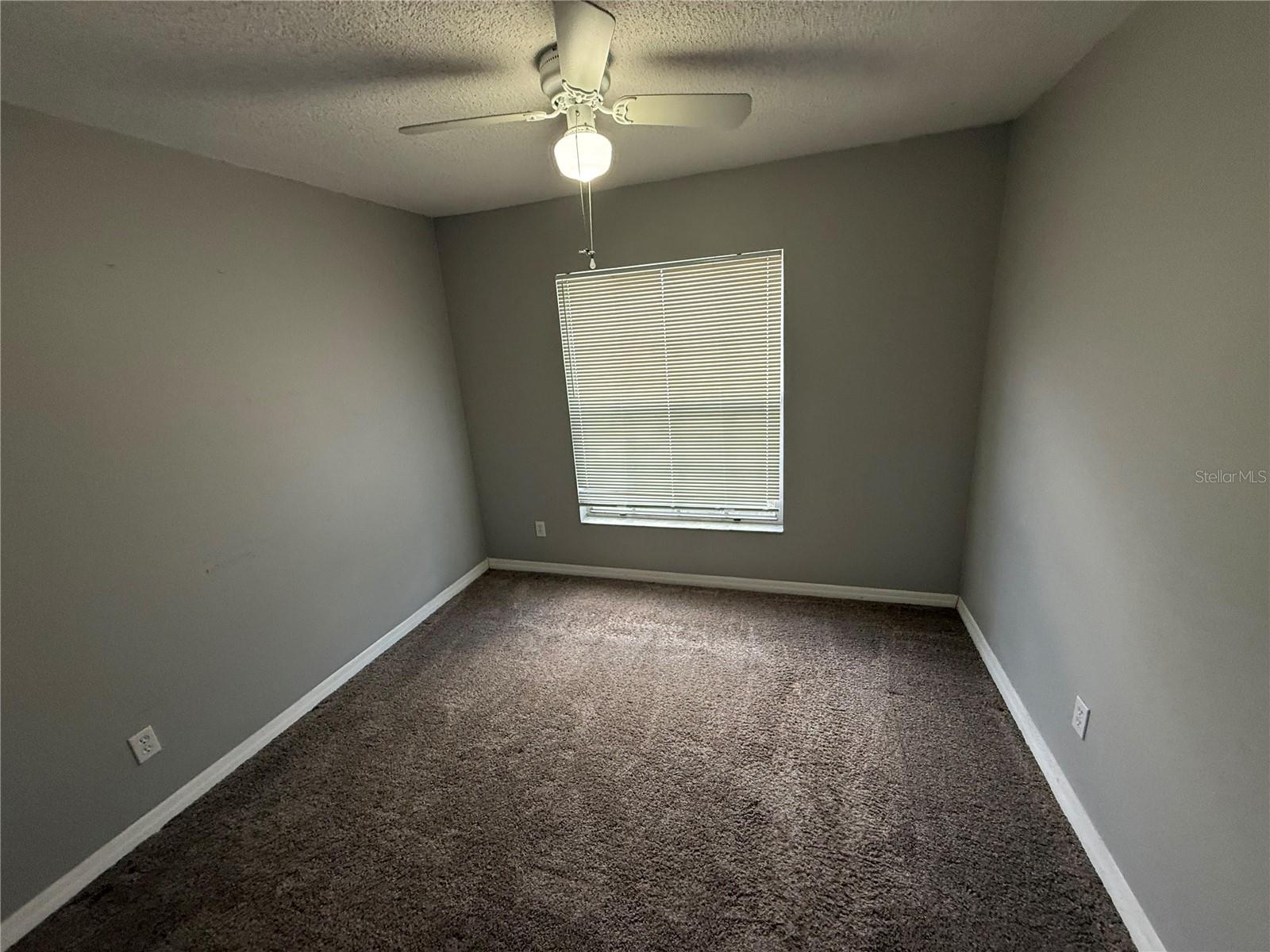 12803 SLIPPERY ELM CT
