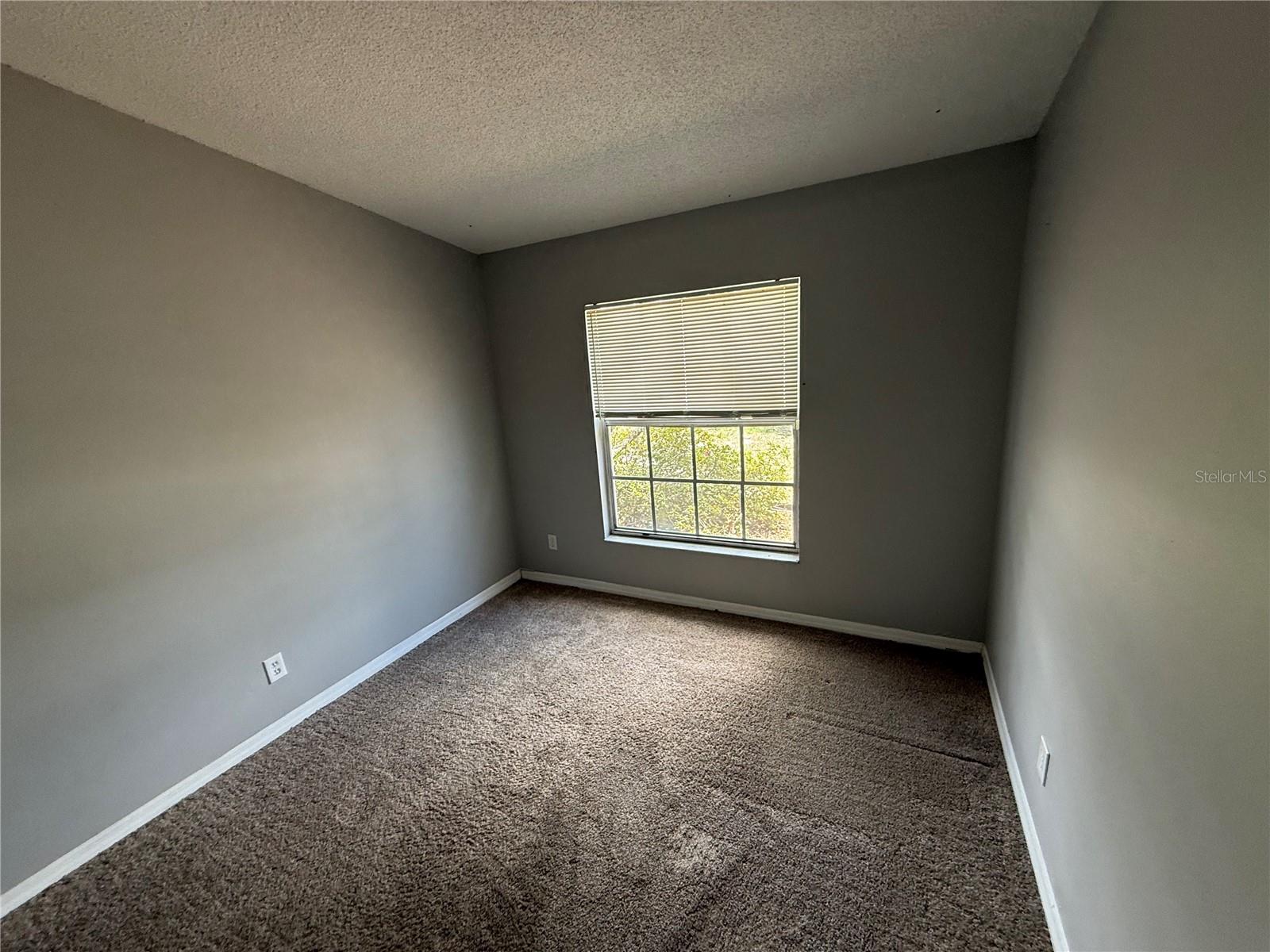 12803 SLIPPERY ELM CT