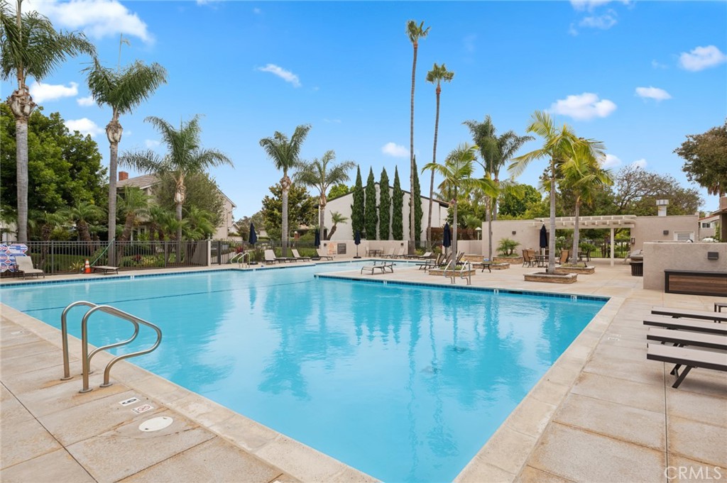 418 Vista Trucha