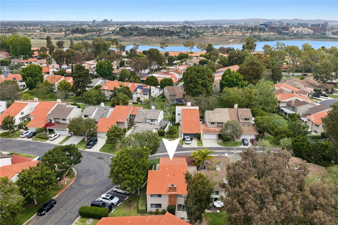 418 Vista Trucha