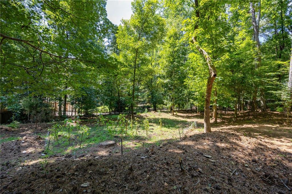 Wooded yard with mature leafy trees and patches of greenery.
