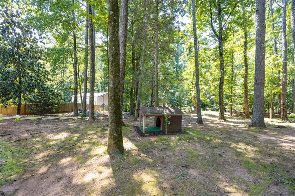 Wooded yard with mature trees and a small doghouse.