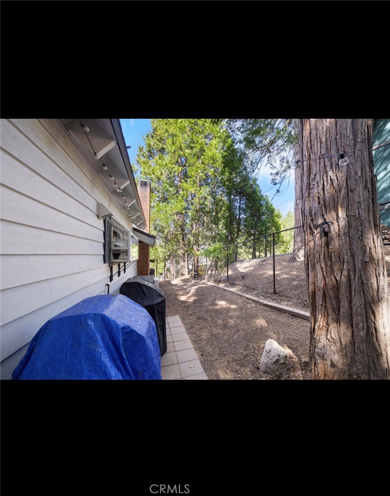 539 Rainier