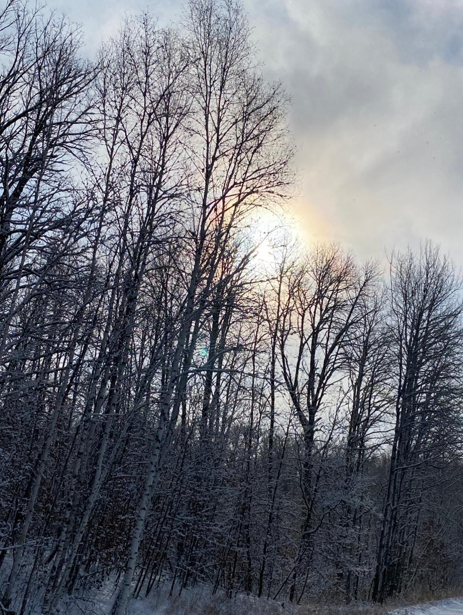 20772 TOAD MOUNTAIN RD