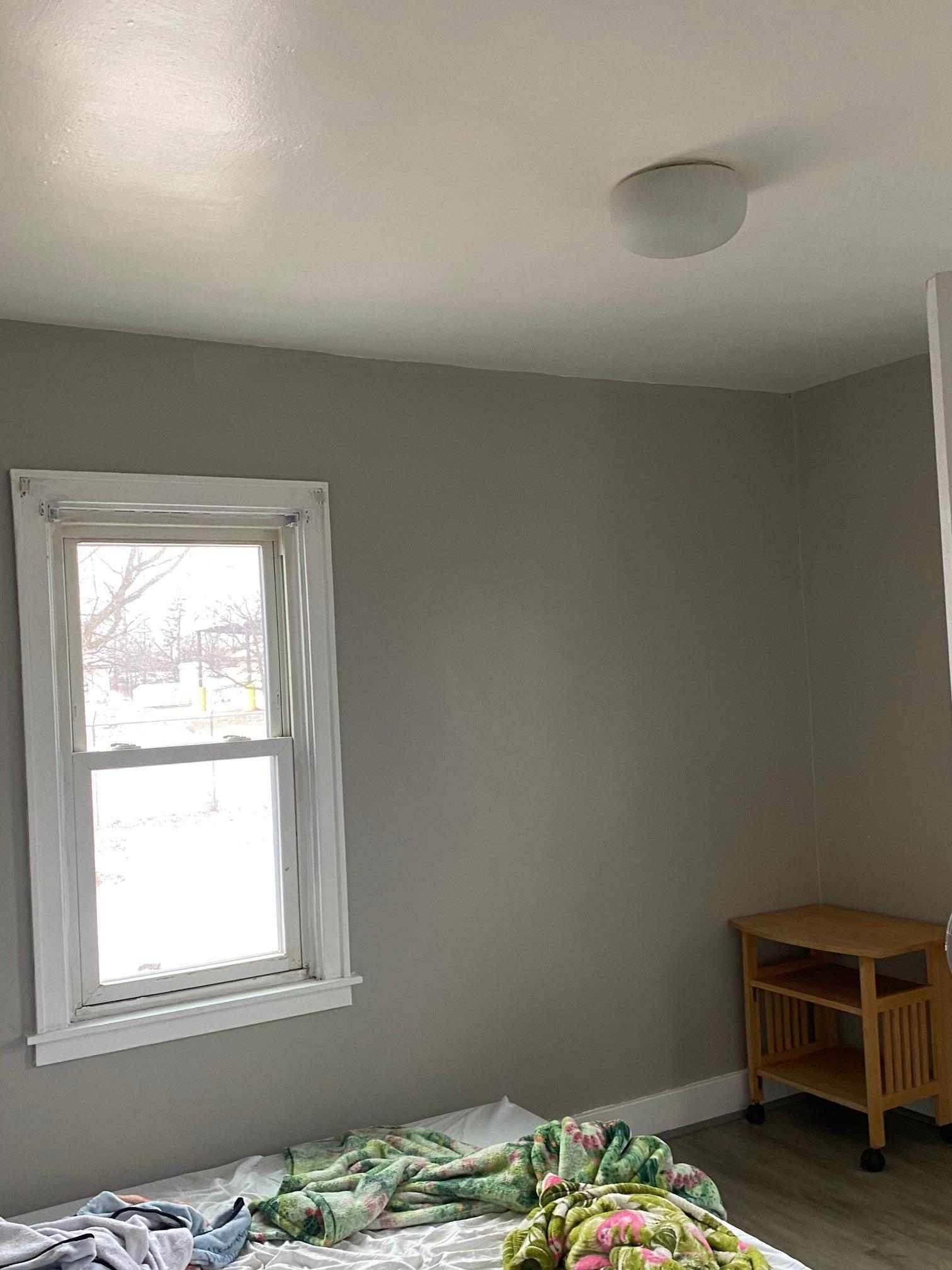 423 E Jefferson Avenue