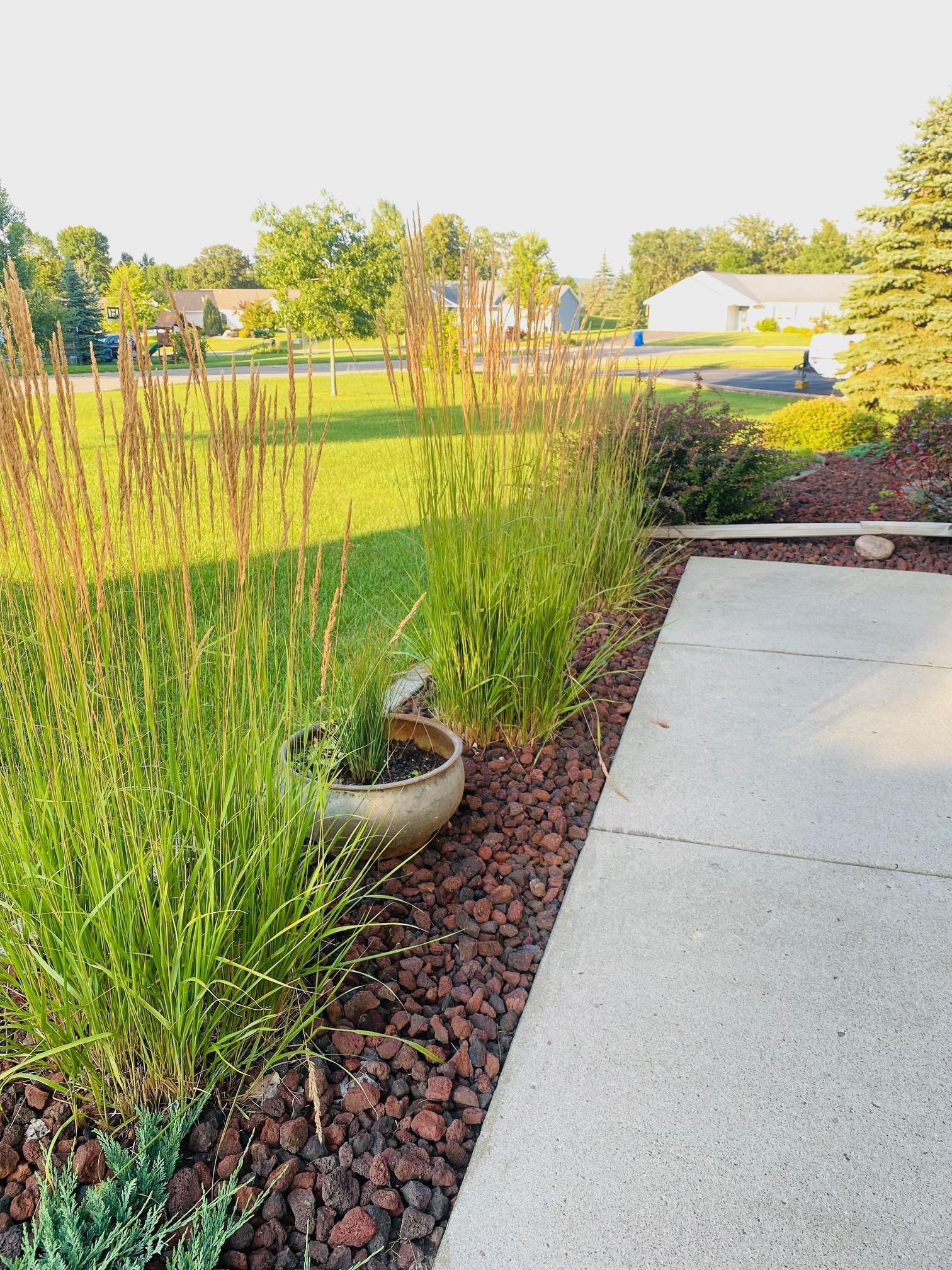 1147 Long Bridge Circle