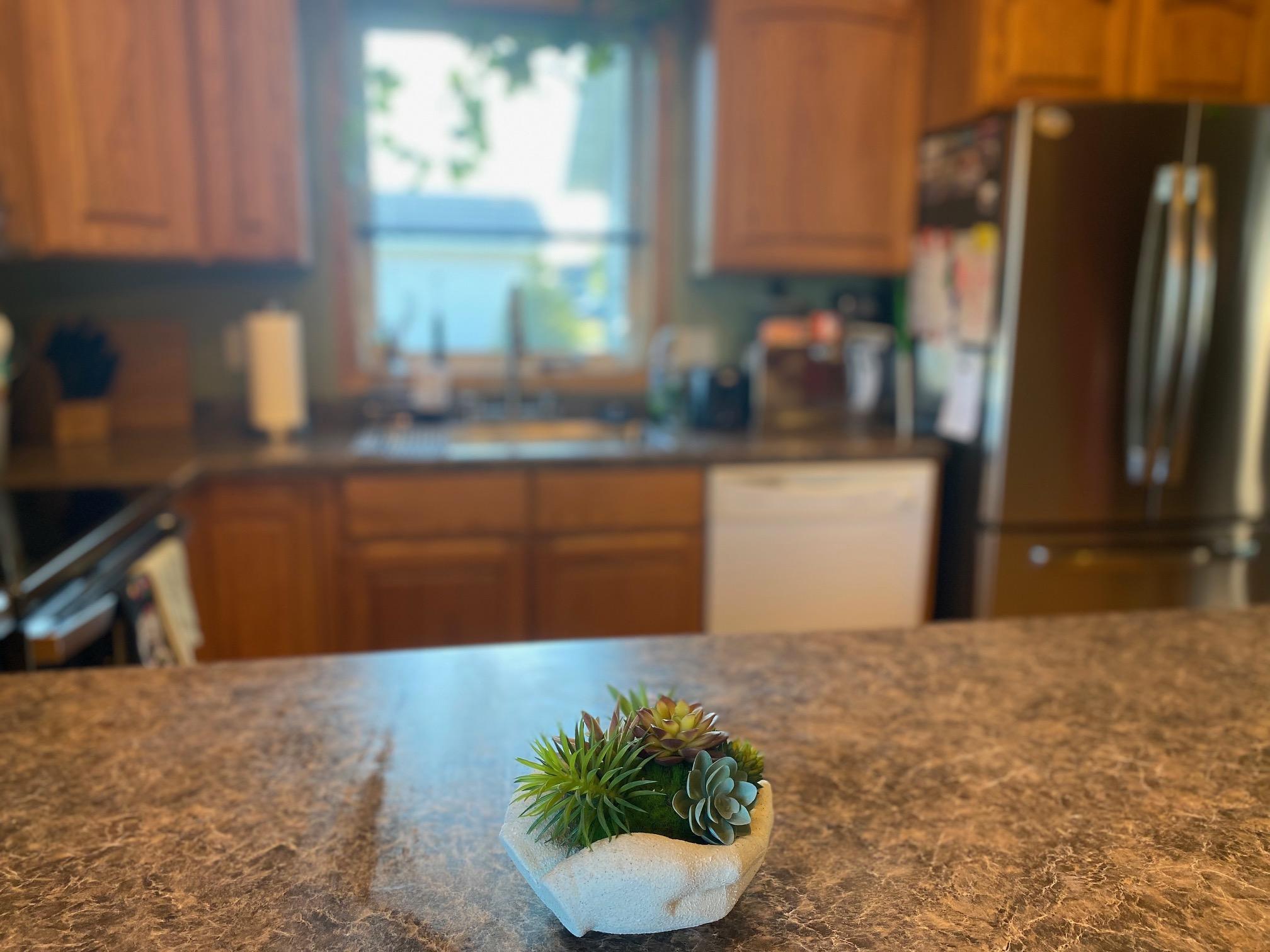 1147 Long Bridge Circle