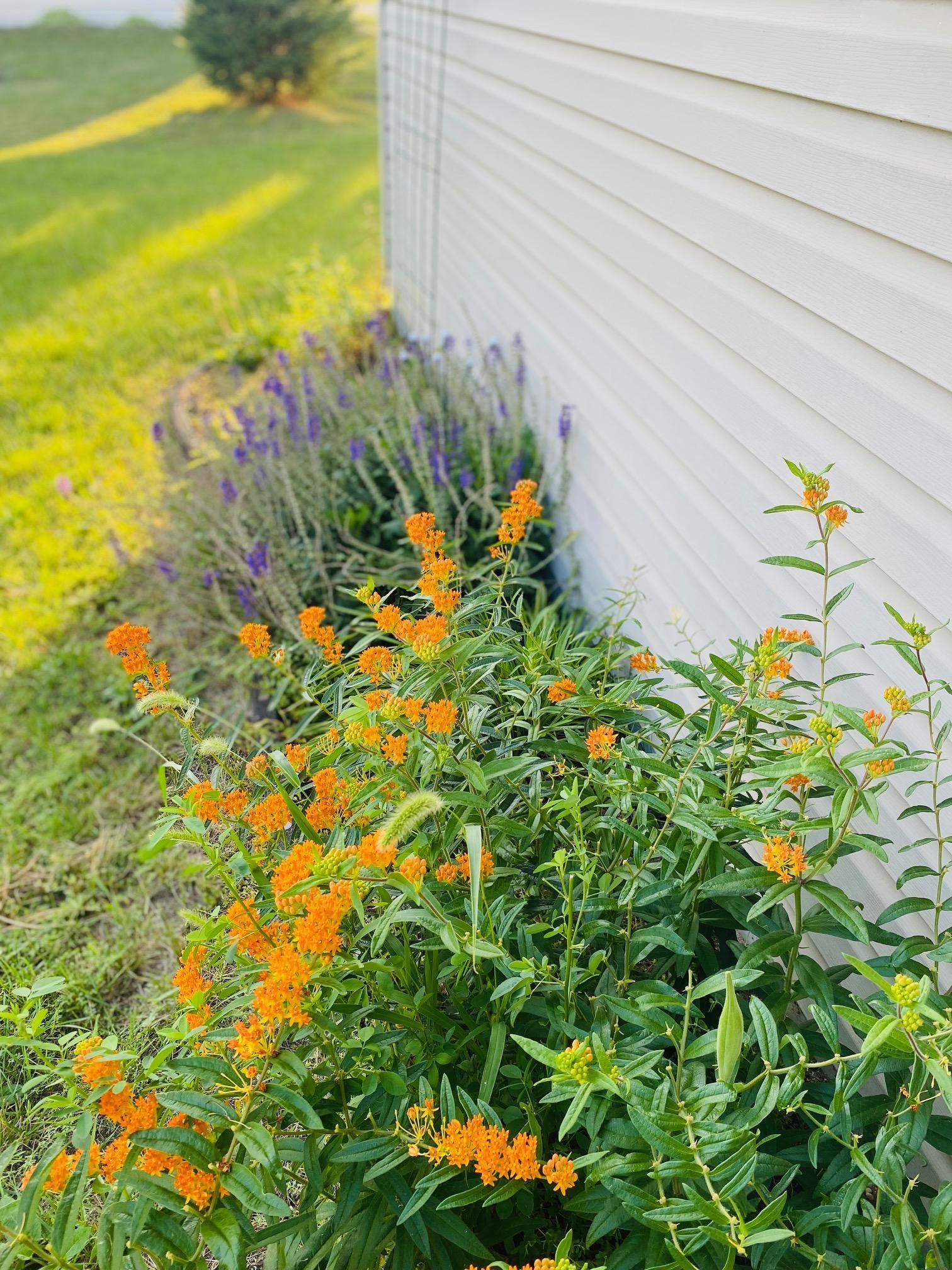 1147 Long Bridge Circle