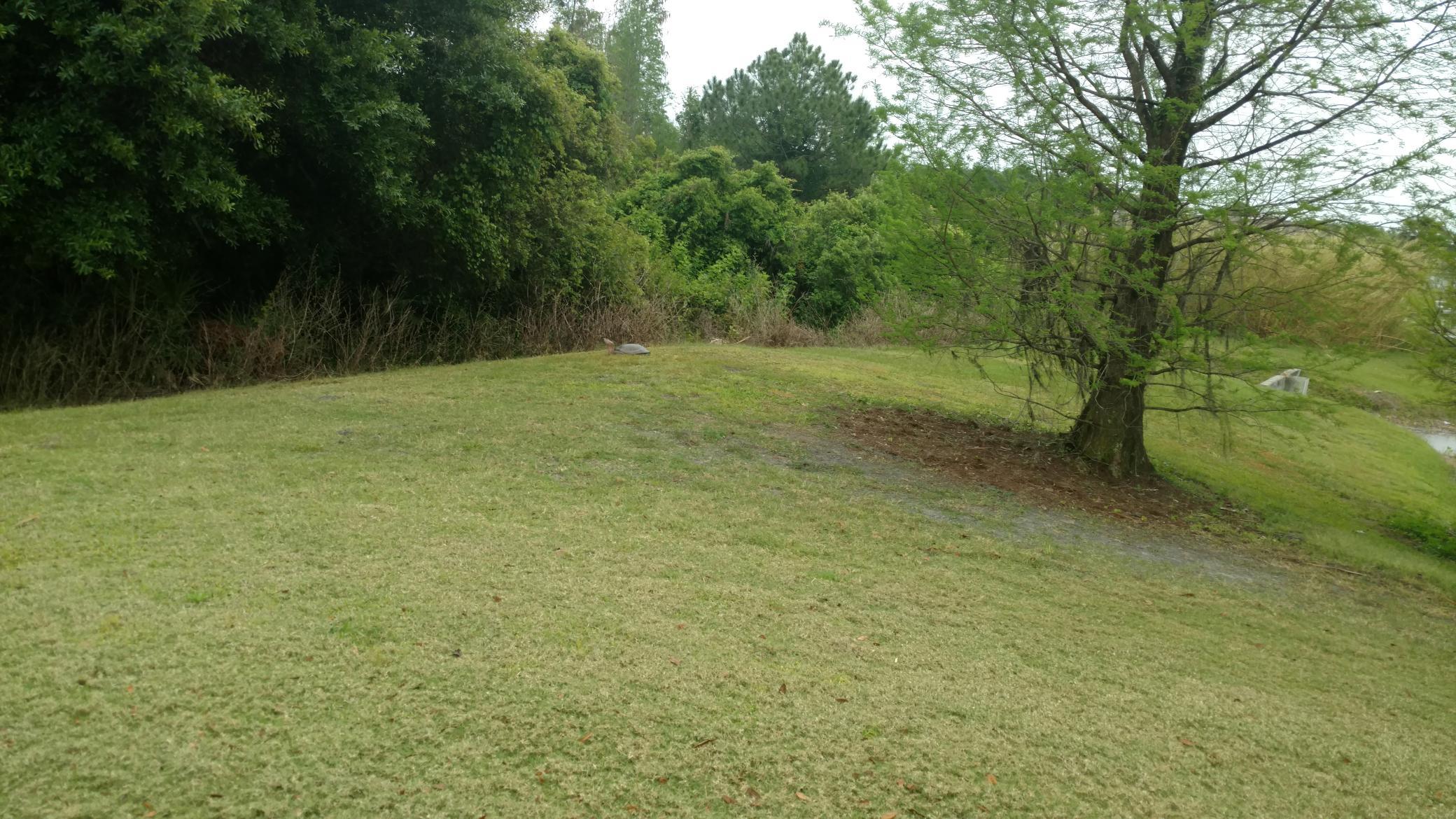 TBD Parcel G County 42