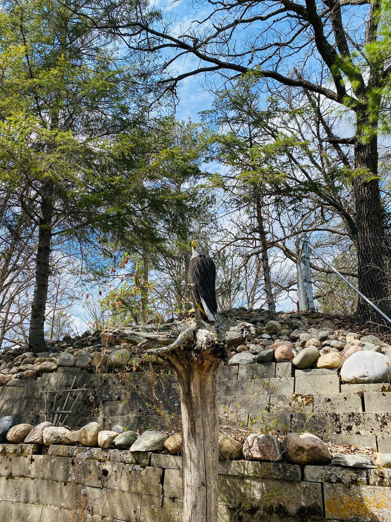 31461 County Highway 35