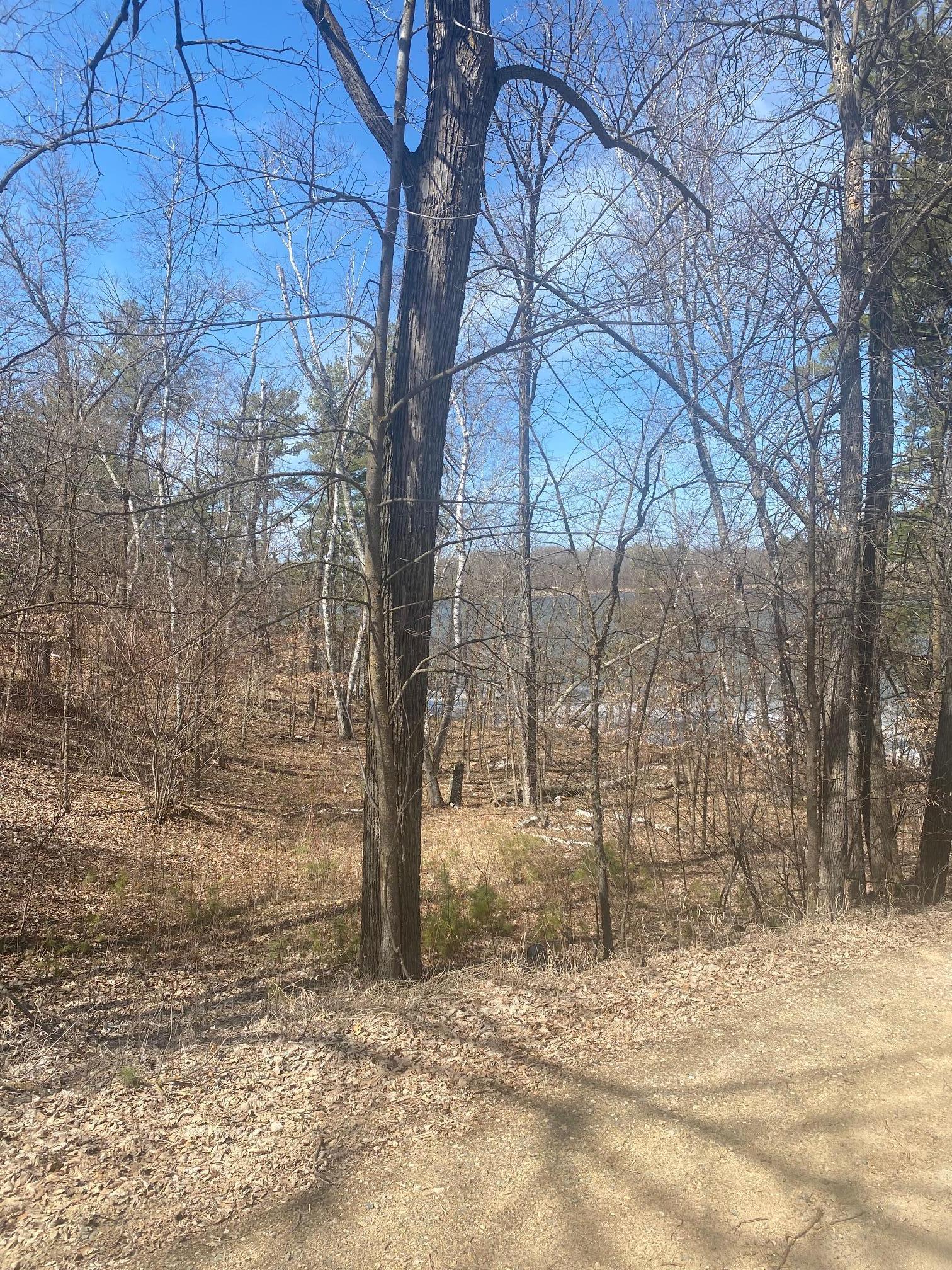 25006 Great Pine Drive