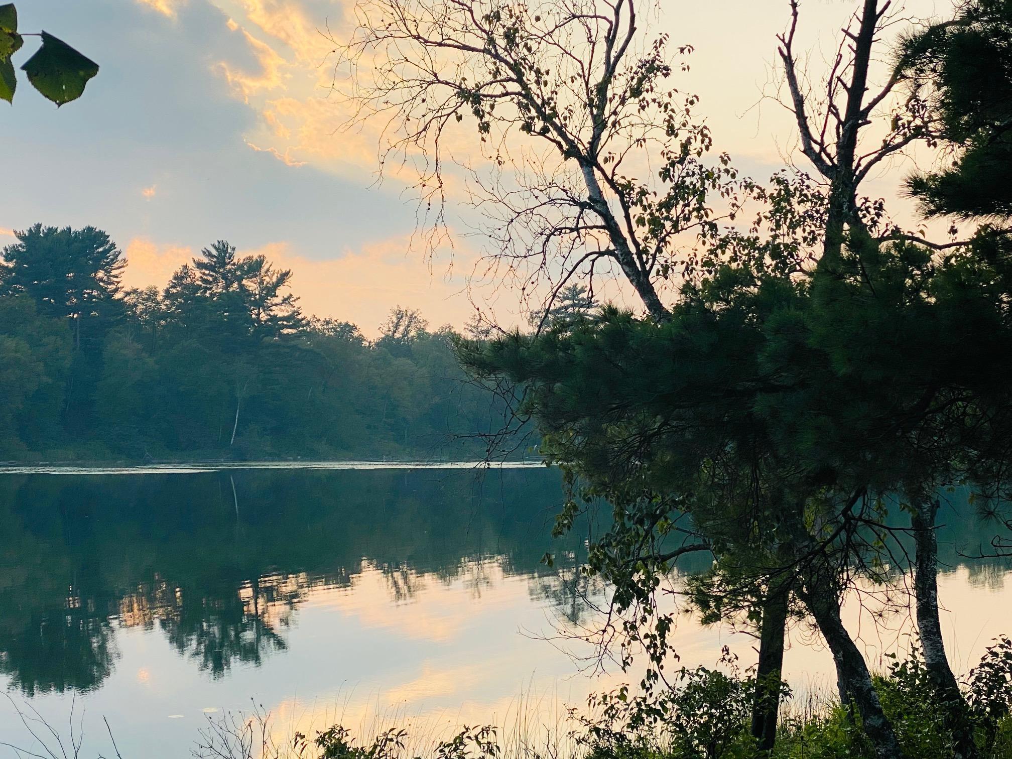 25006 Great Pine Drive