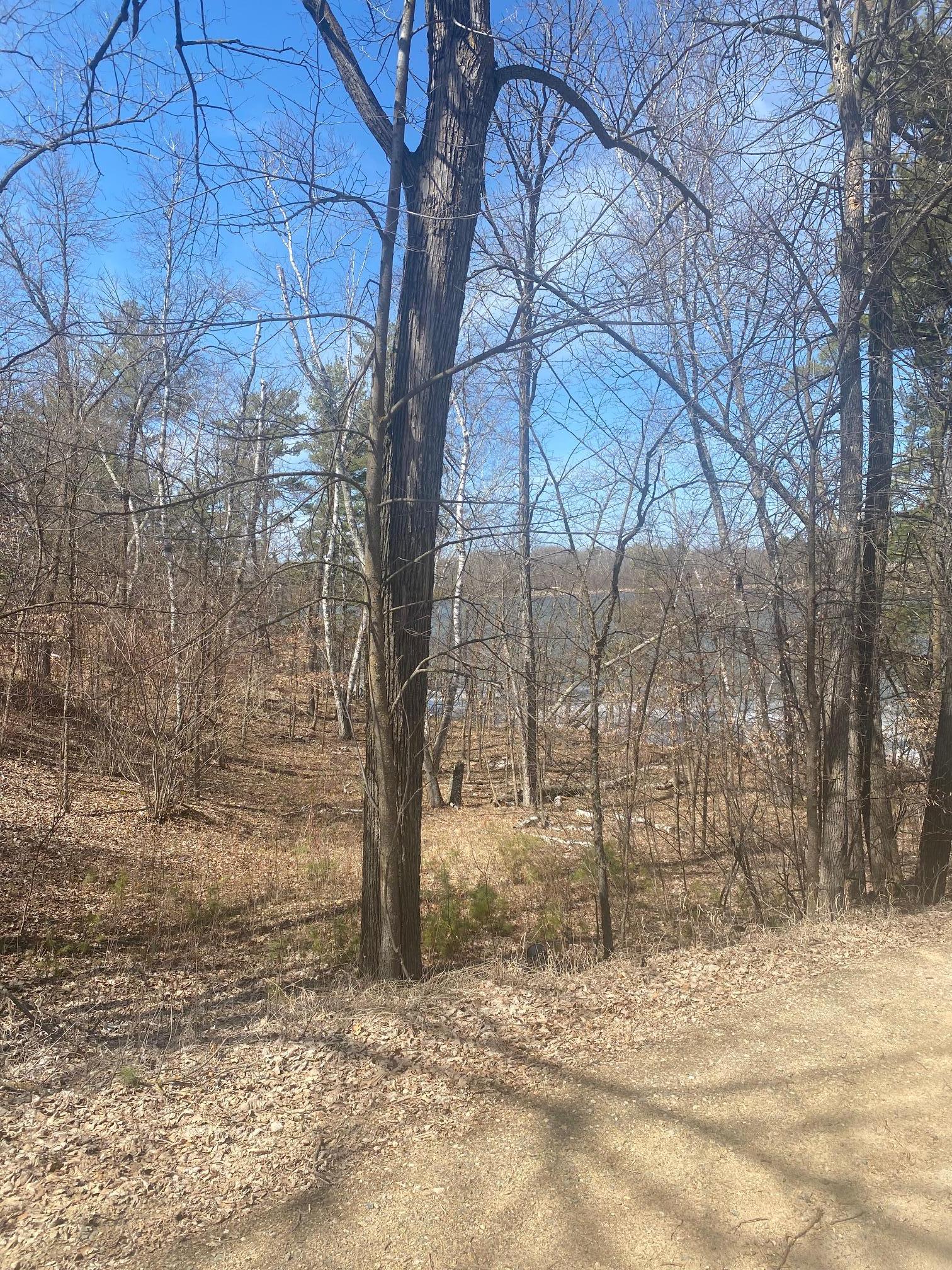 25006 Great Pine Drive