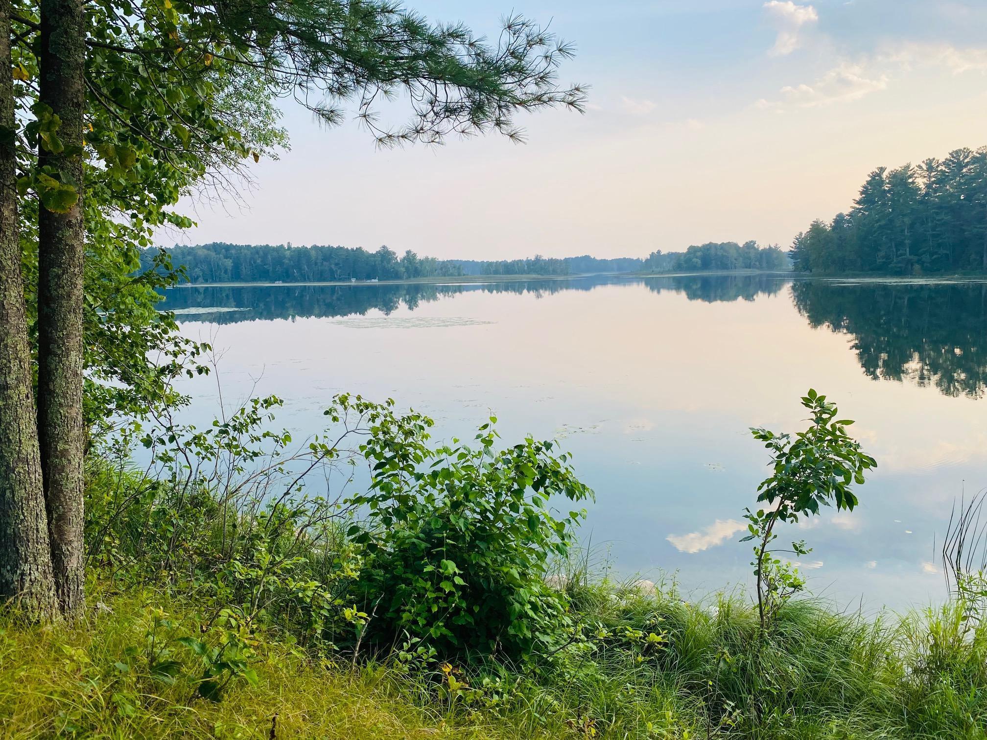 25006 Great Pine Drive