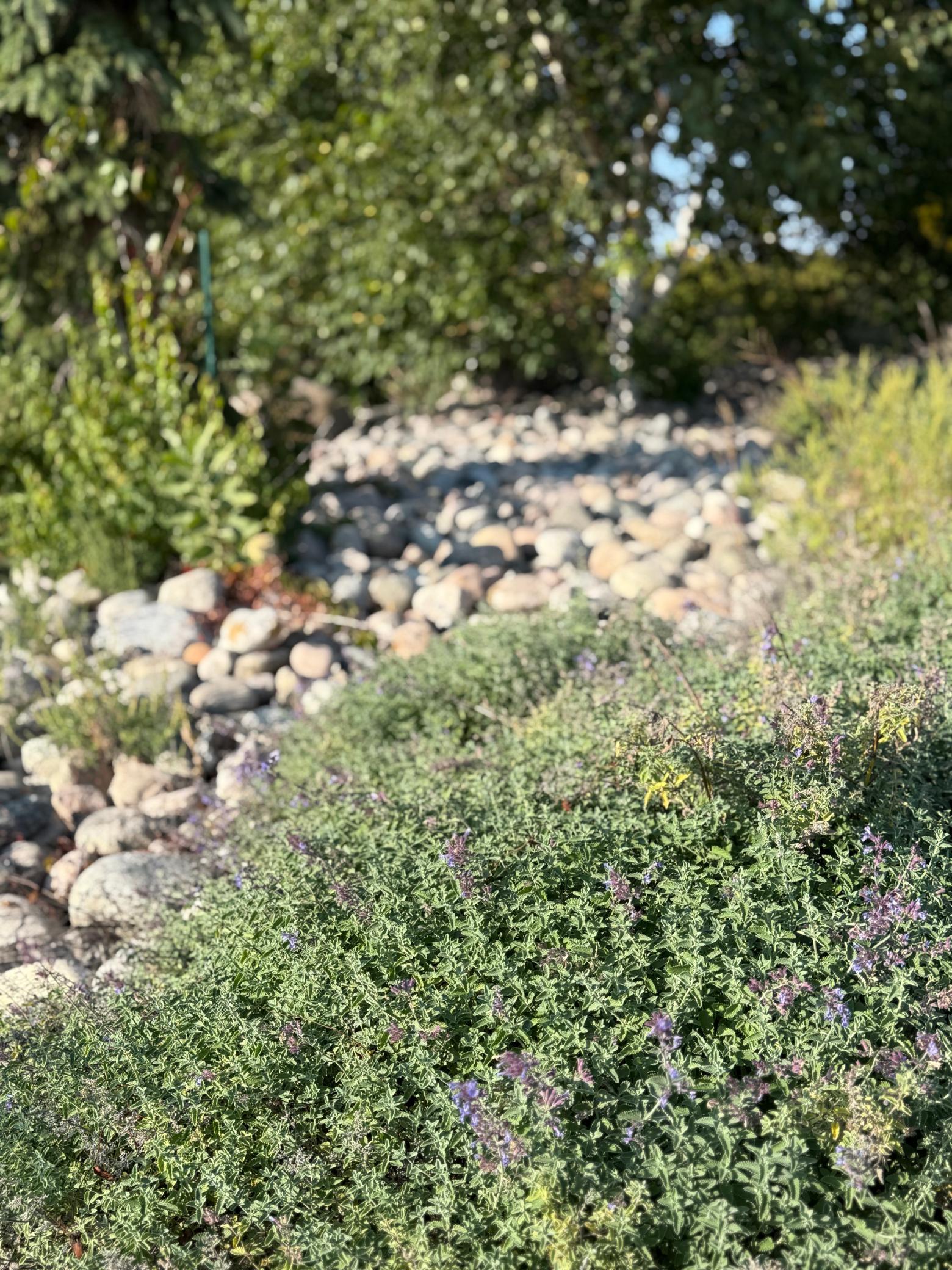 20371 180th Avenue N