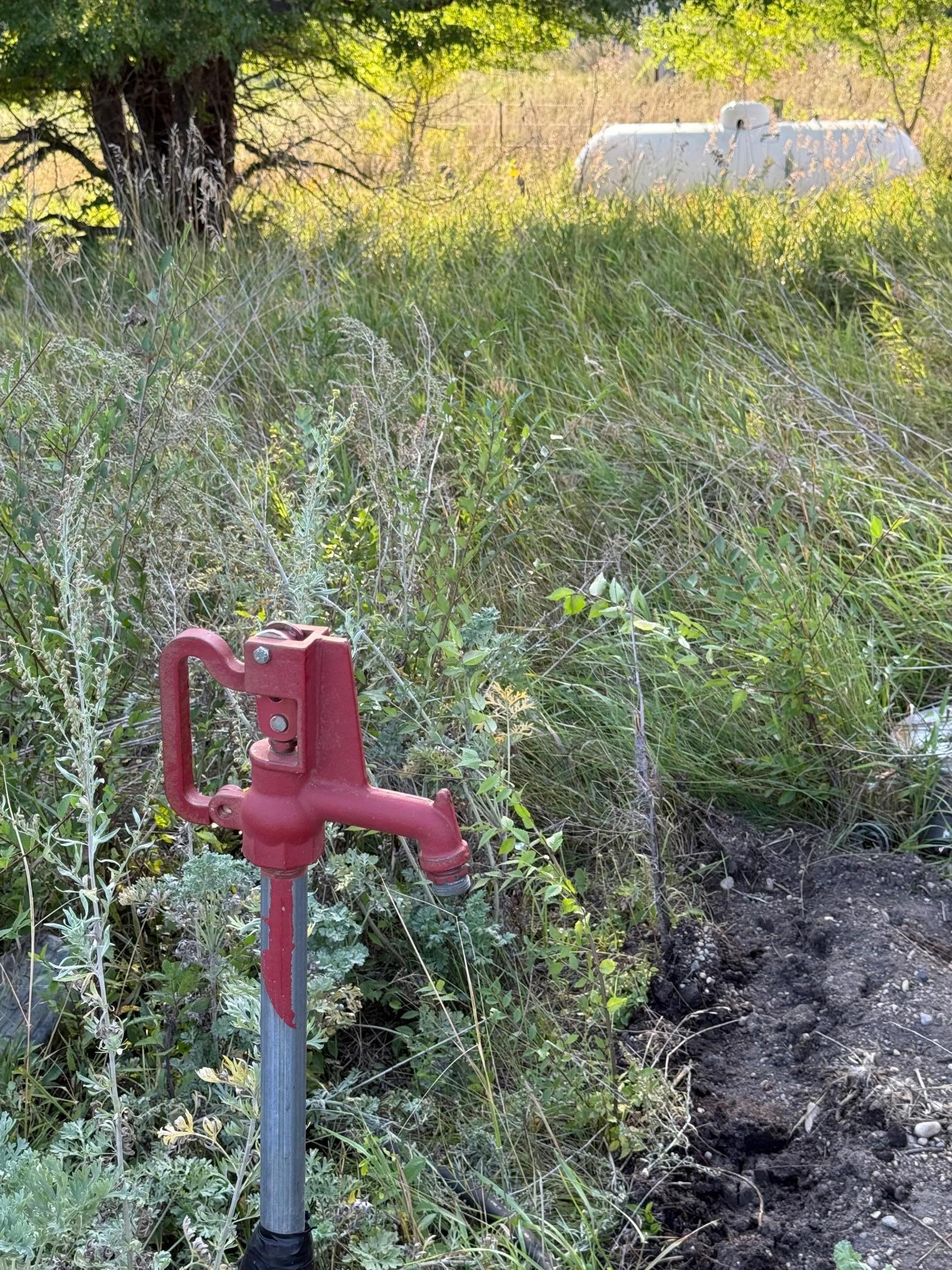 20371 180th Avenue N