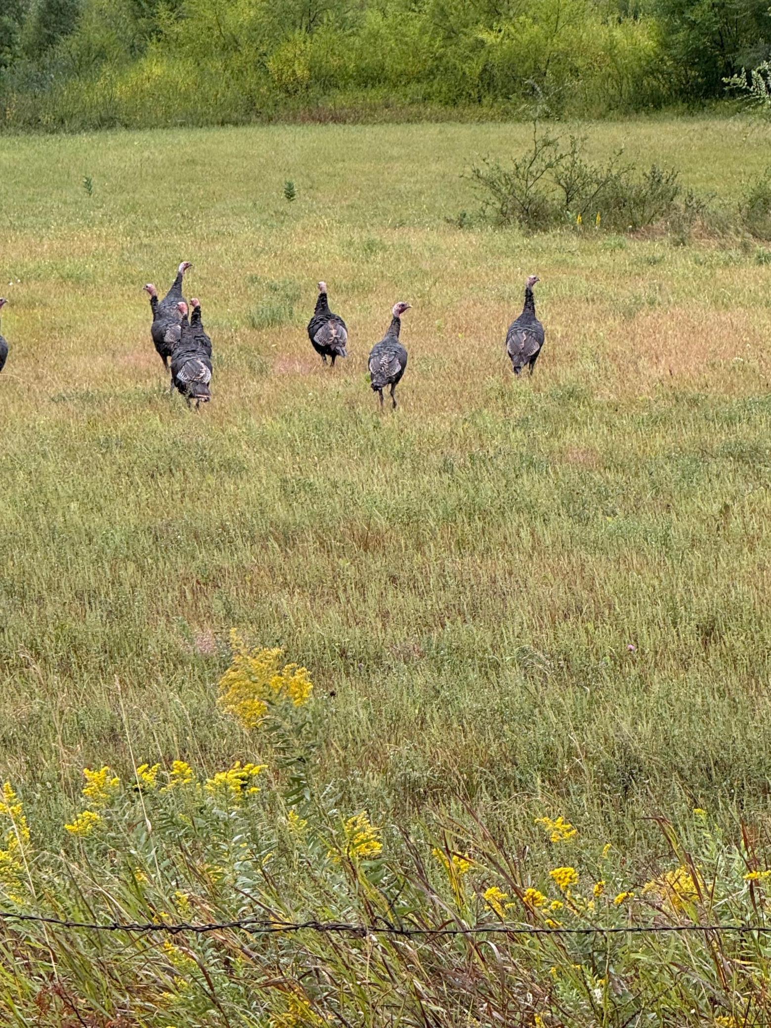 20371 180th Avenue N