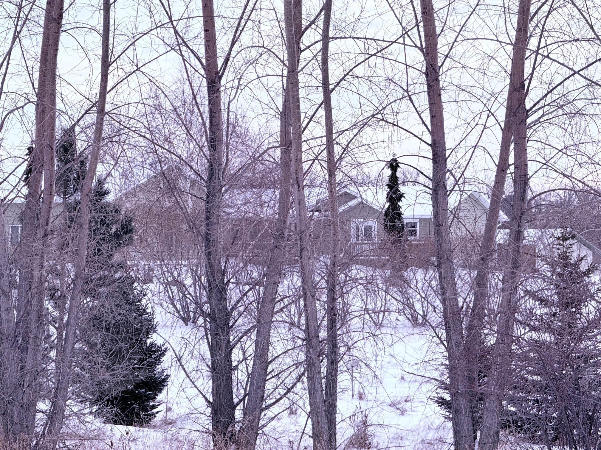 20371 180th Avenue N