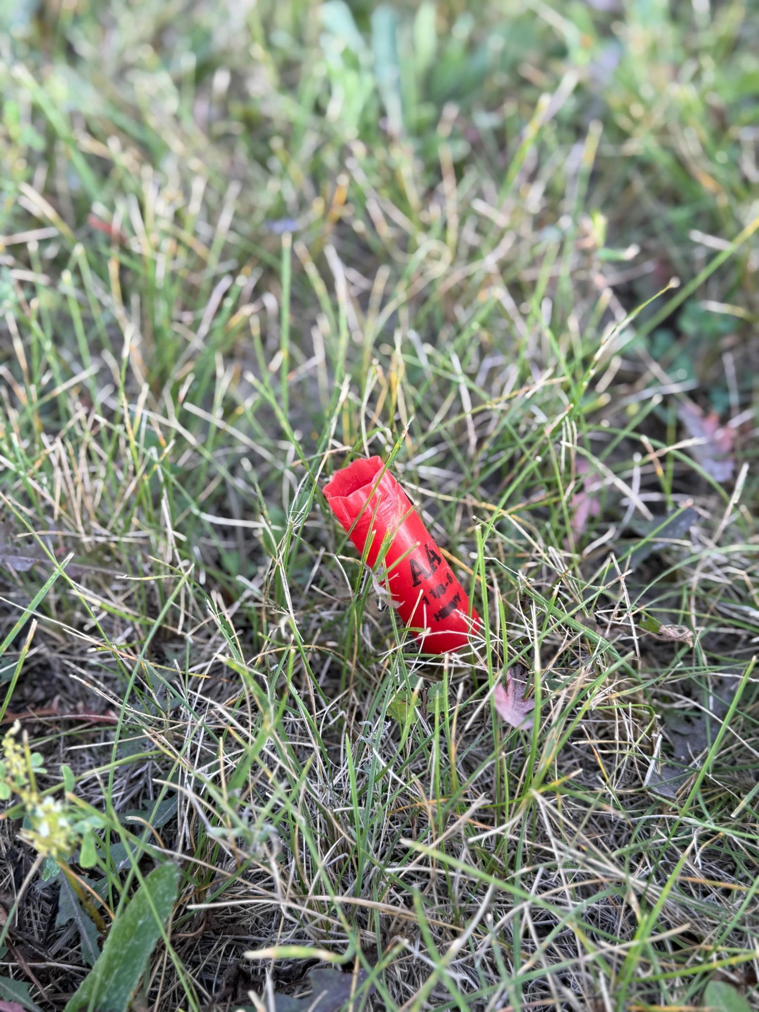 20371 180th Avenue N