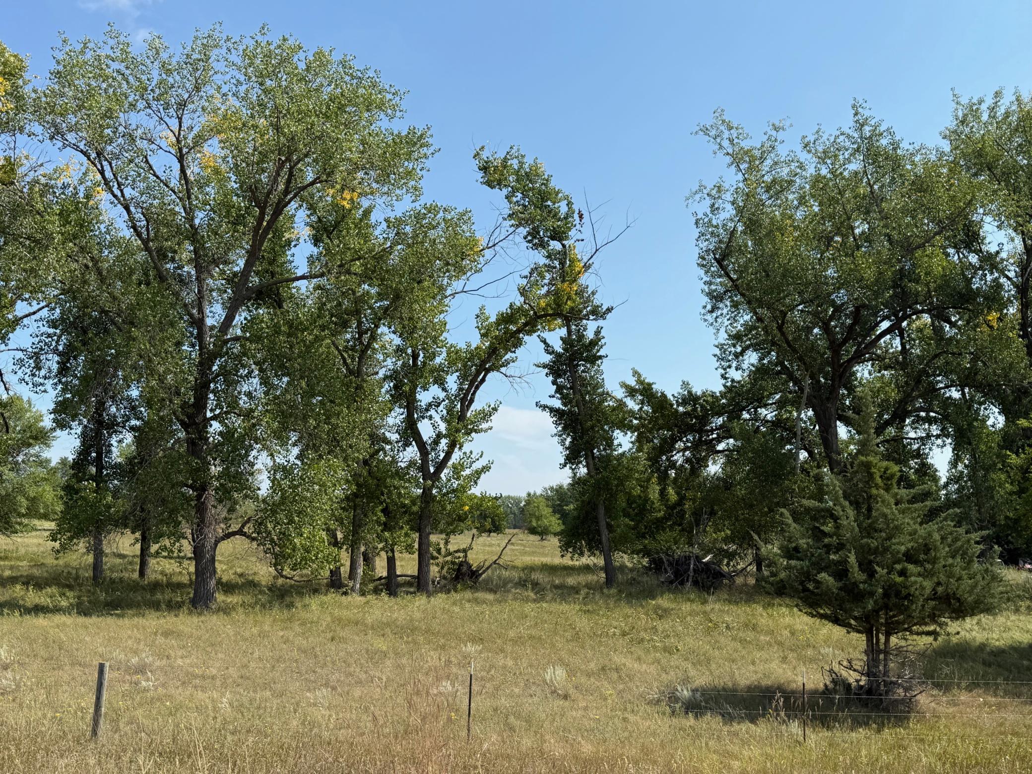 20371 180th Avenue N