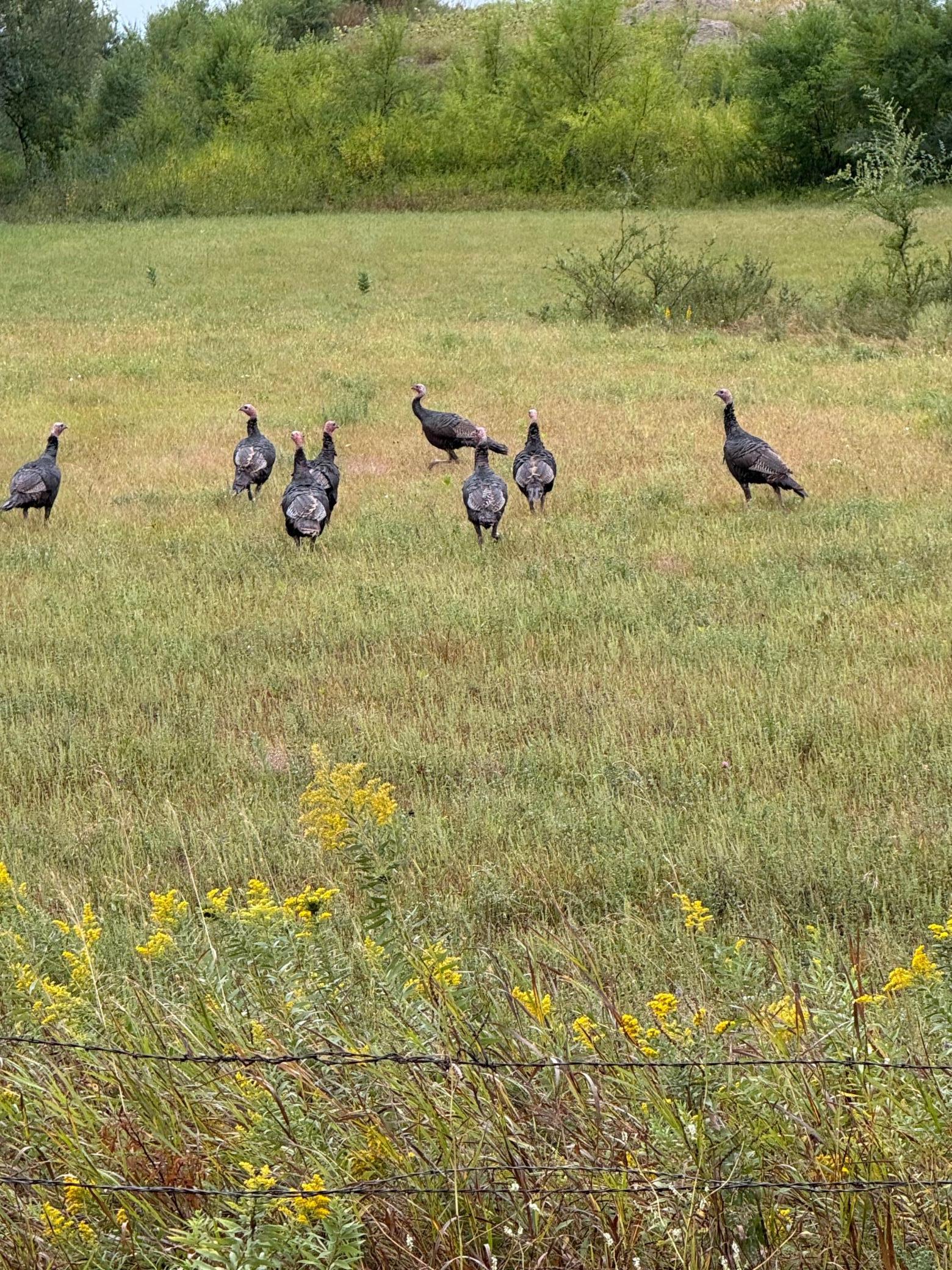 20371 180th Avenue N