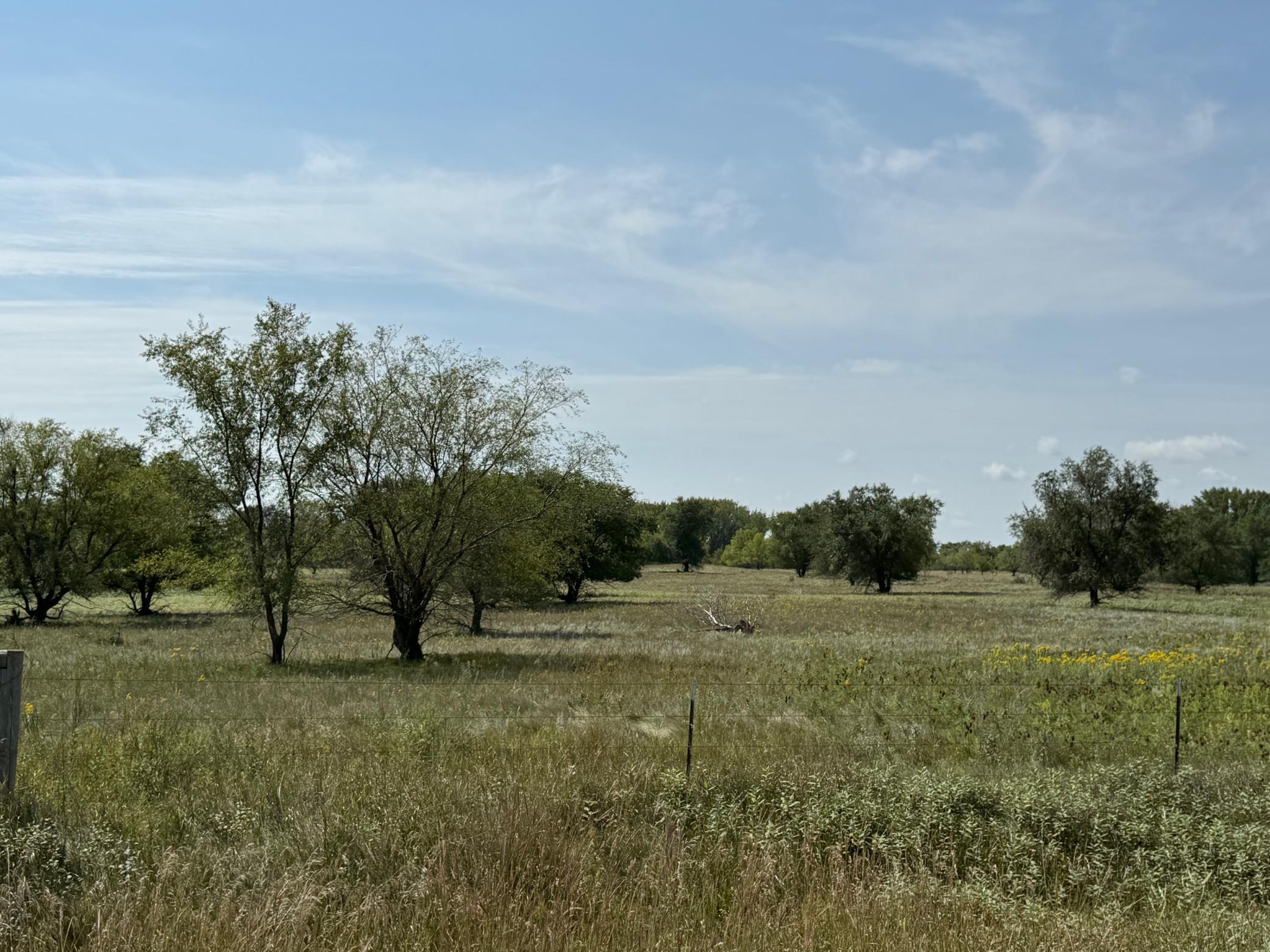 20371 180th Avenue N