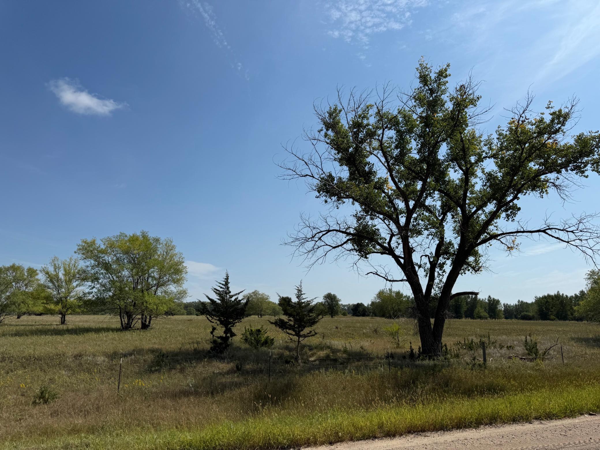 20371 180th Avenue N