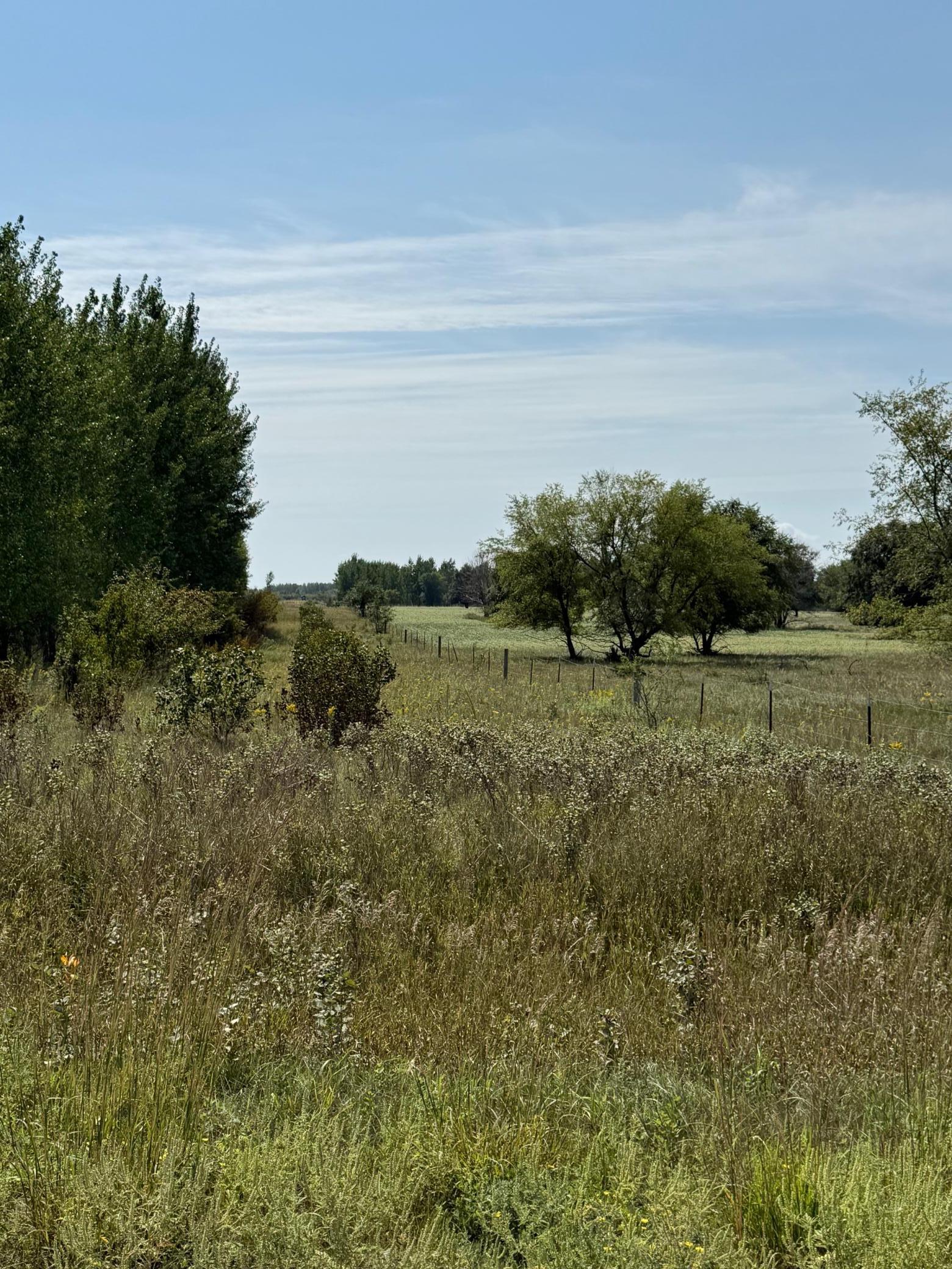 20371 180th Avenue N