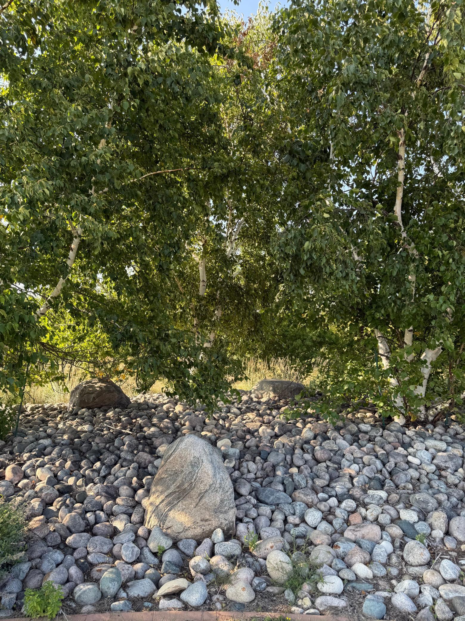 20371 180th Avenue N