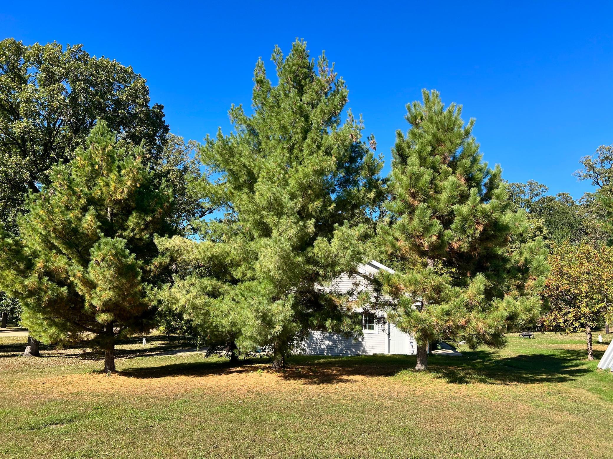 208 Hilltop Road